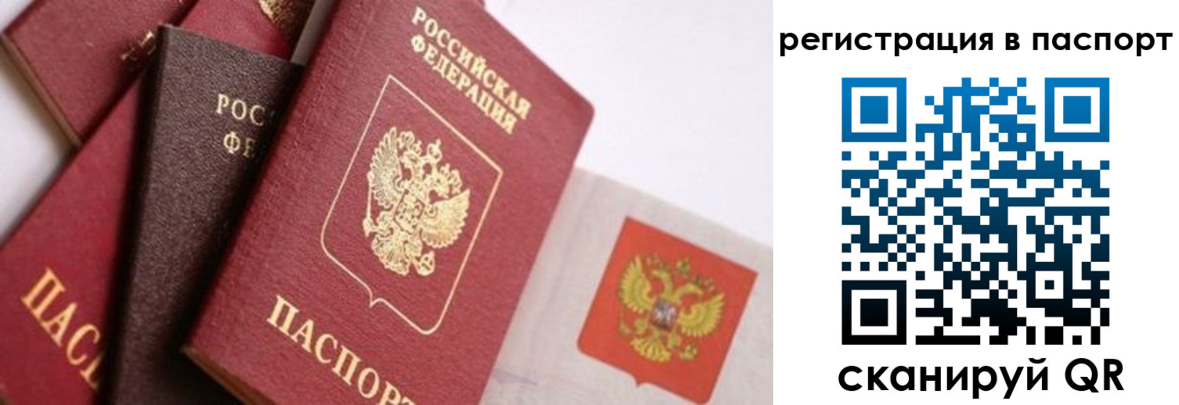 прописка в квартире в Нелидово