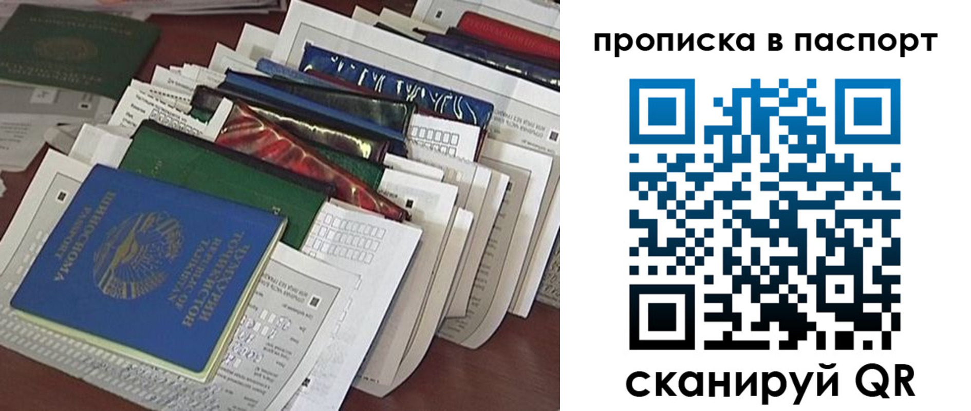 прописка для работы в Нелидово